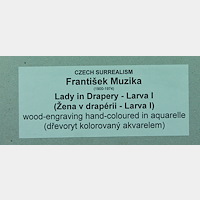 František Muzika