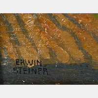 Erwin Steiner