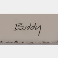 Buddy