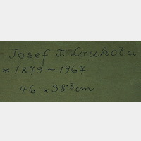 Josef  Loukota