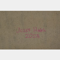 Josef Hakl