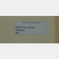 Petr Pavliňák