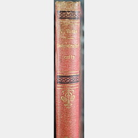Jules Verne, Emil Bayard, A. de Neuivlle