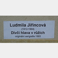 Ludmila Jiřincová