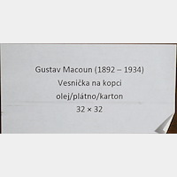 Gustav Macoun