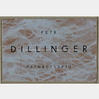 Petr Dillinger