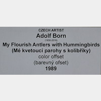 Adolf Born