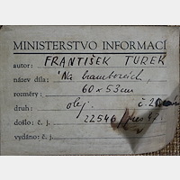 František Turek