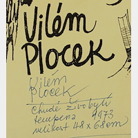 Vilém  Plocek