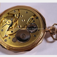 Zlaté kapesní hodinky Normal Watch