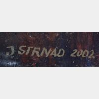 J. Strnad
