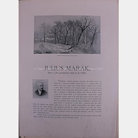 Julius Mařák