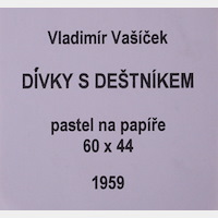 Vladimír Vašíček