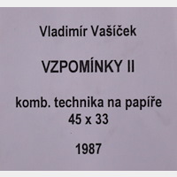 Vladimír Vašíček