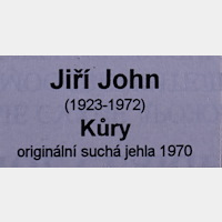 Jiří John