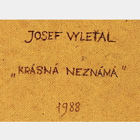 Josef Vyleťal