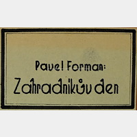 Pavel Forman