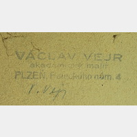 Václav Vejr