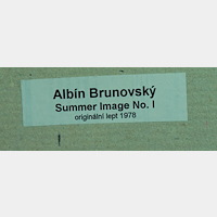 Albín Brunovský