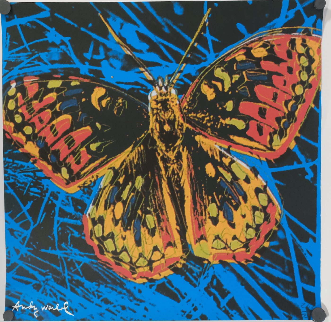 Andy Warhol - Butterfly