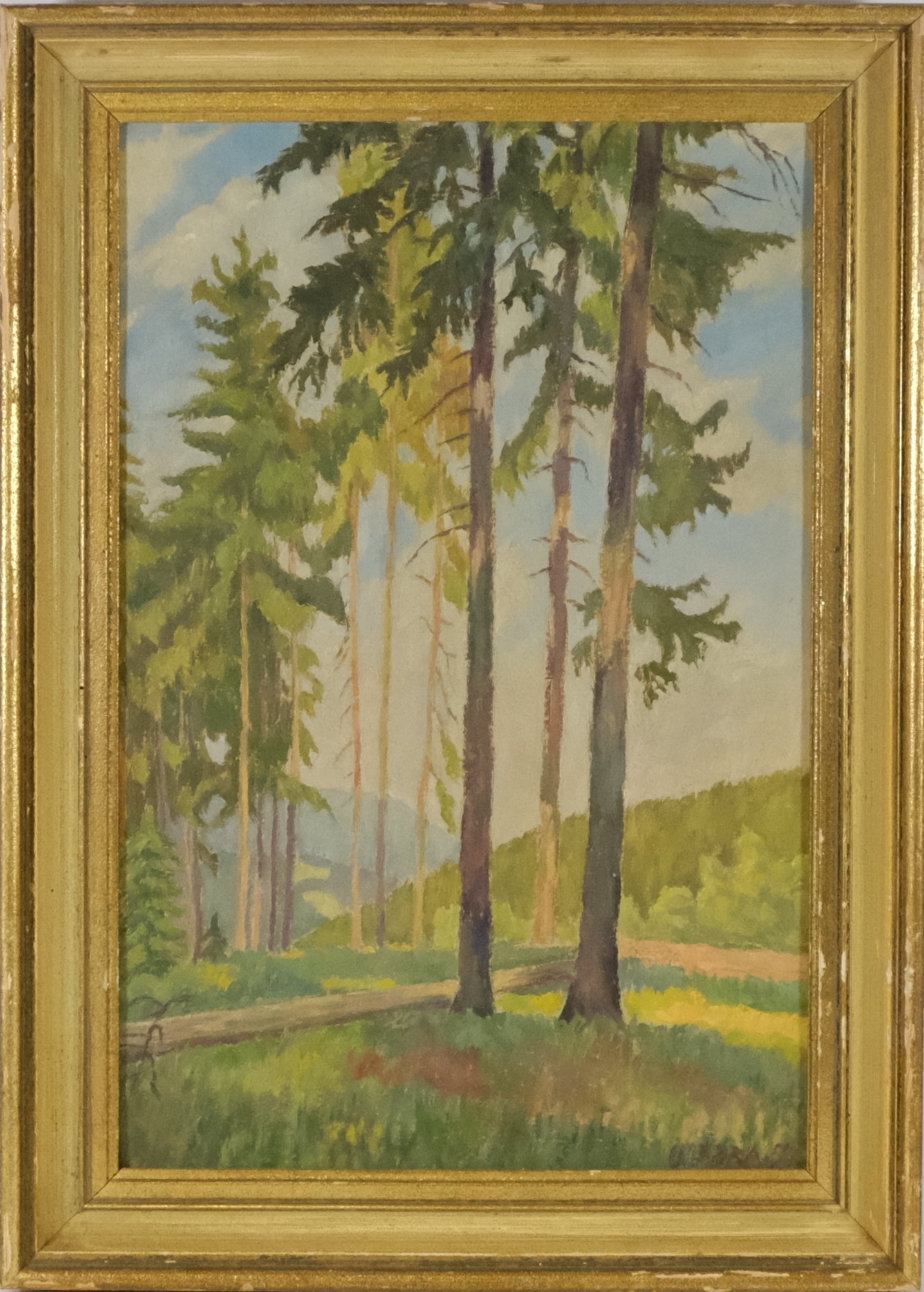 Rudolf Livora - Na kraji lesa
