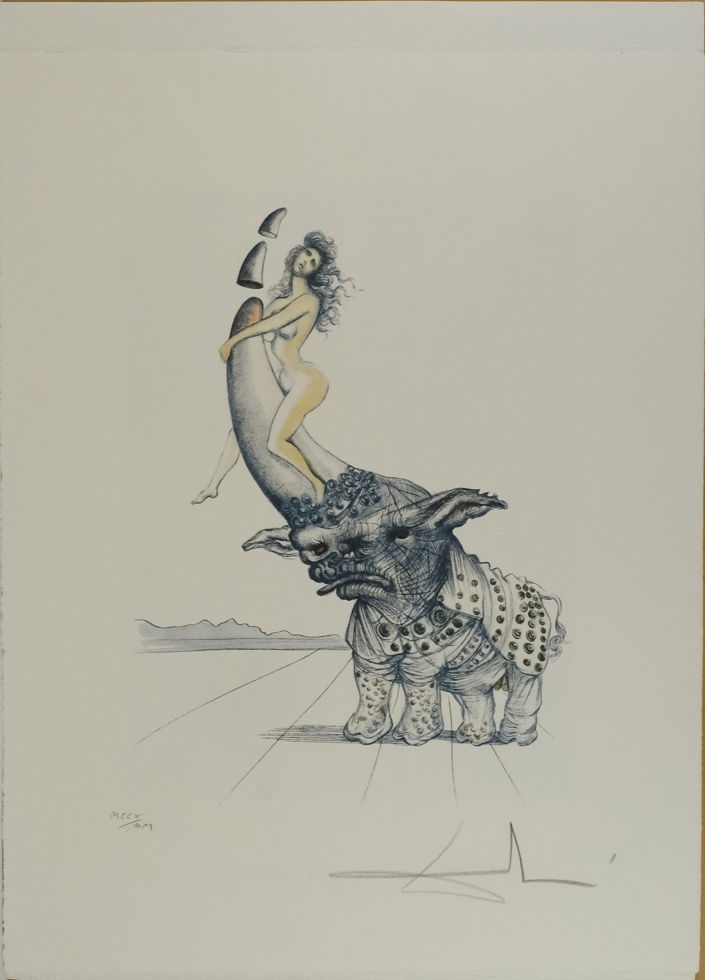 Salvador Dalí - Dívka a nosorožec