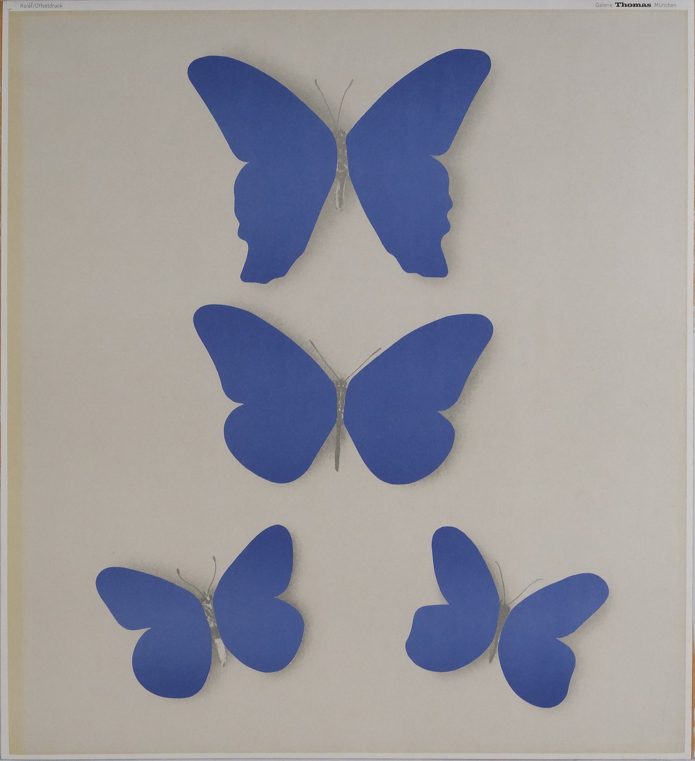 Jiří Kolář - Motýli - plakát Galerie Thomas Münich