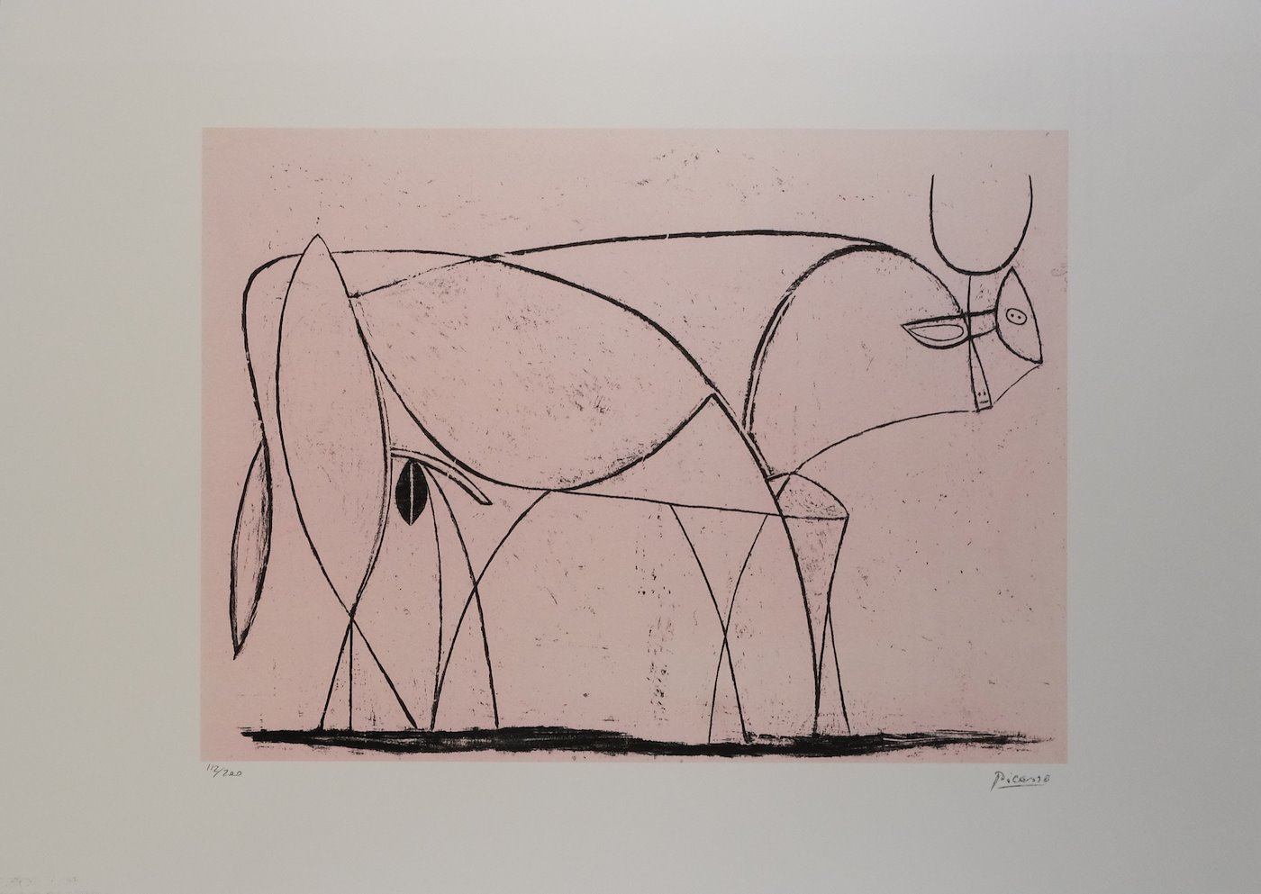 Pablo Picasso - Bull