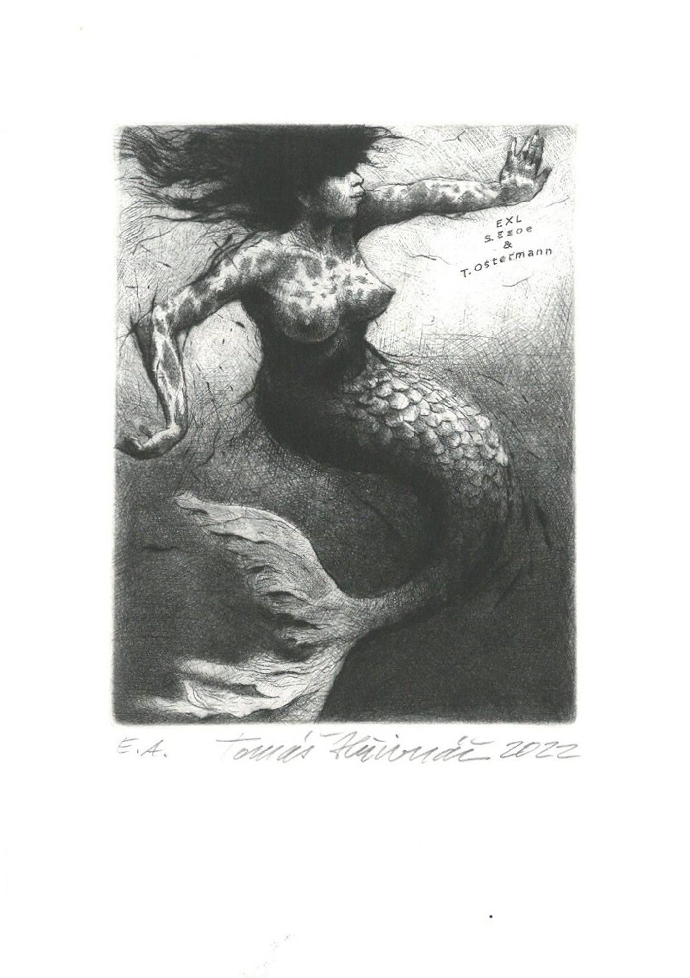 Tomáš Hřivnáč - Mermaid