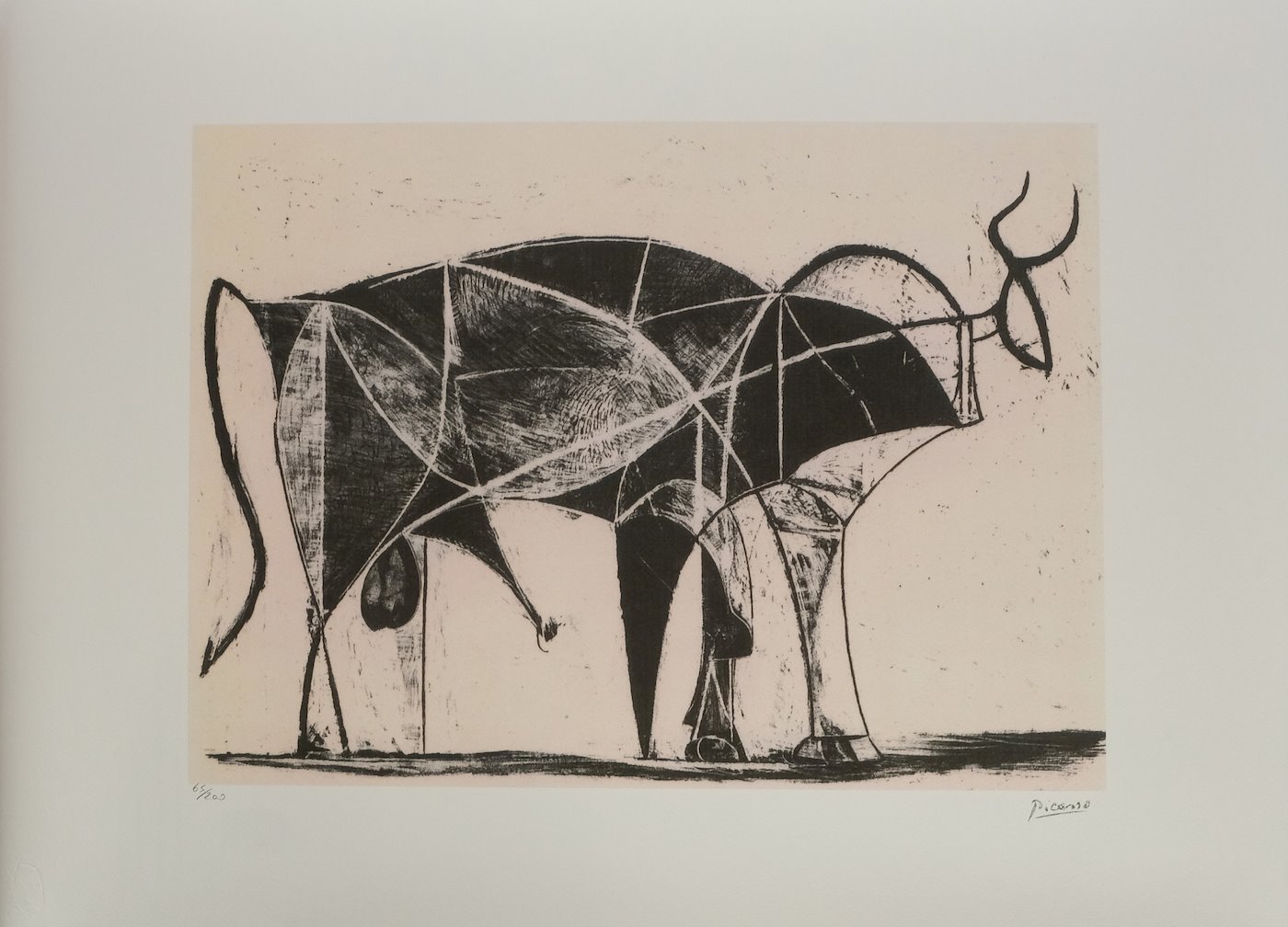 Pablo Picasso - Bull