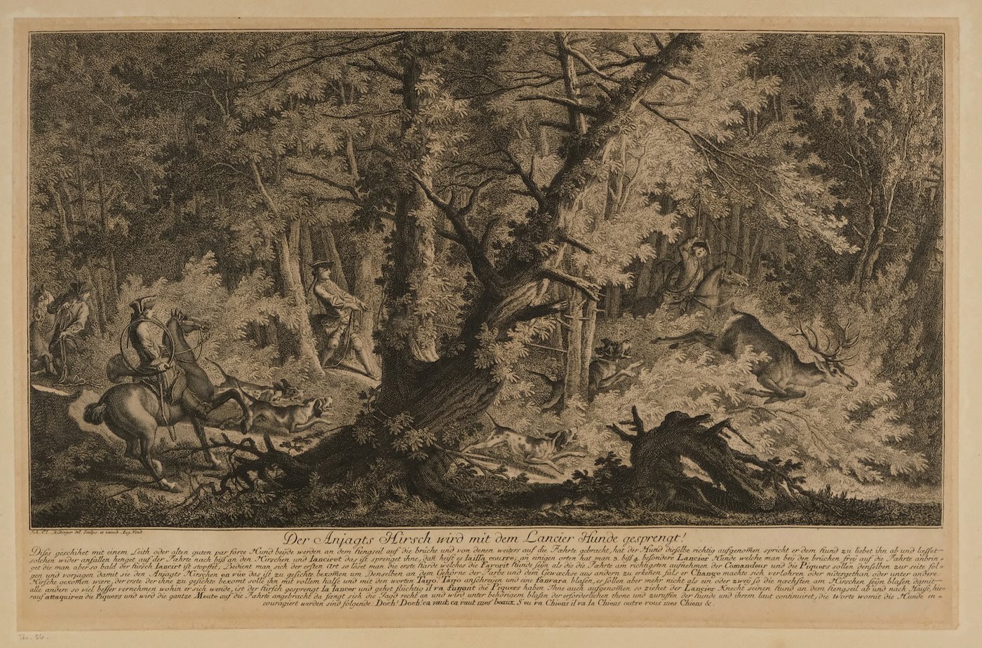 Johann Elias Ridinger - Štvanice na jelena