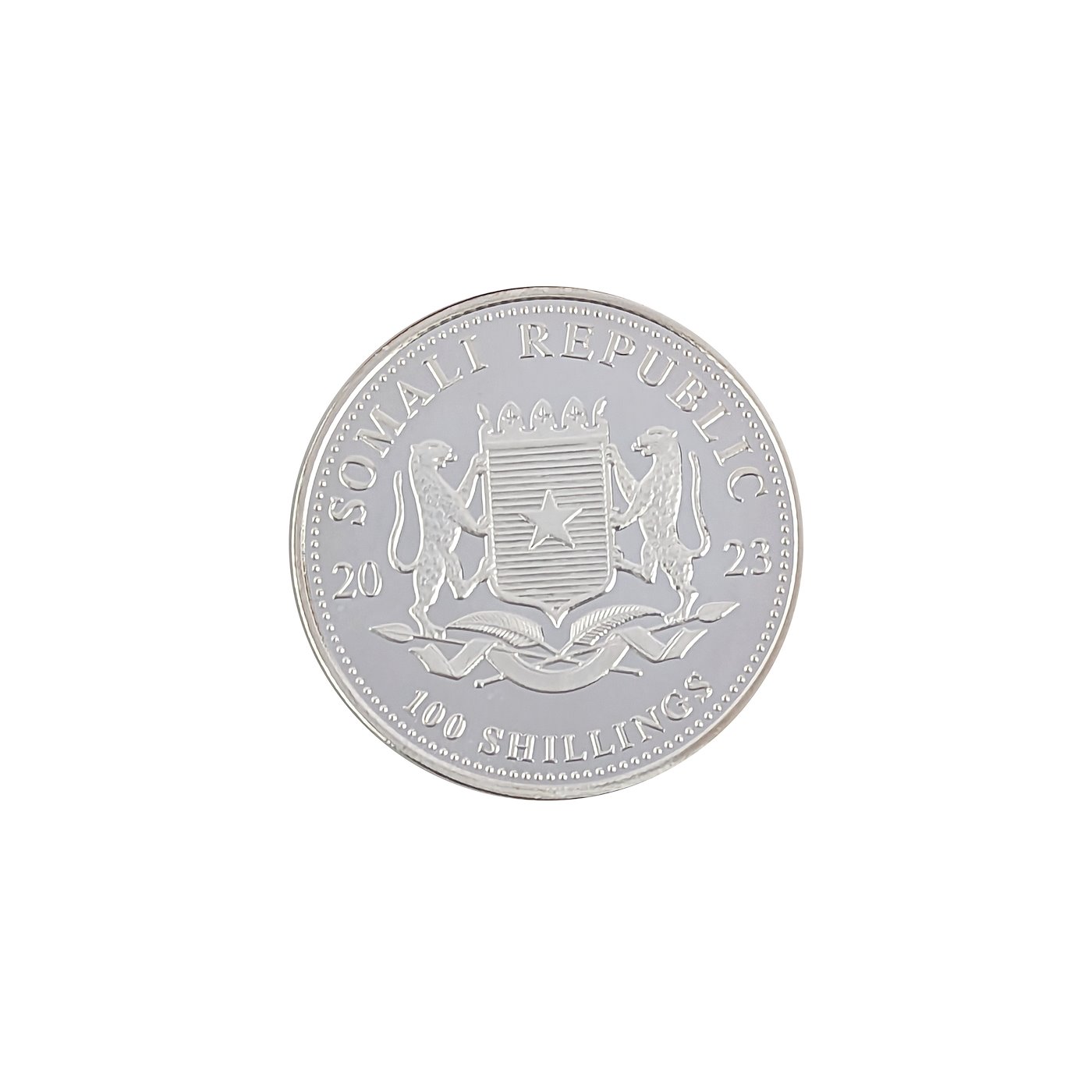 .. - Stříbrná mince 1oz Somálsko 2023, SLON Africká divočina