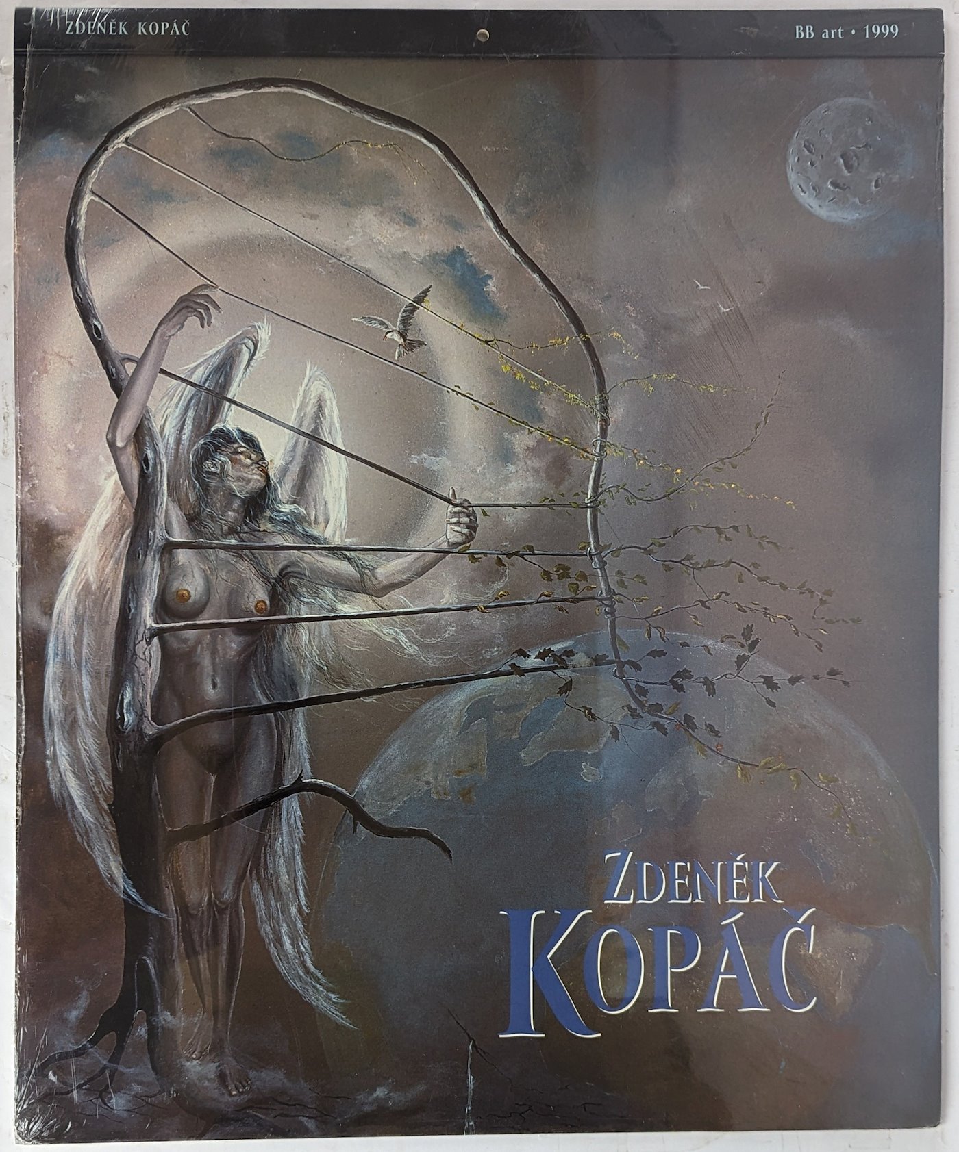 Zdeněk Kopáč - Kalendář 1999