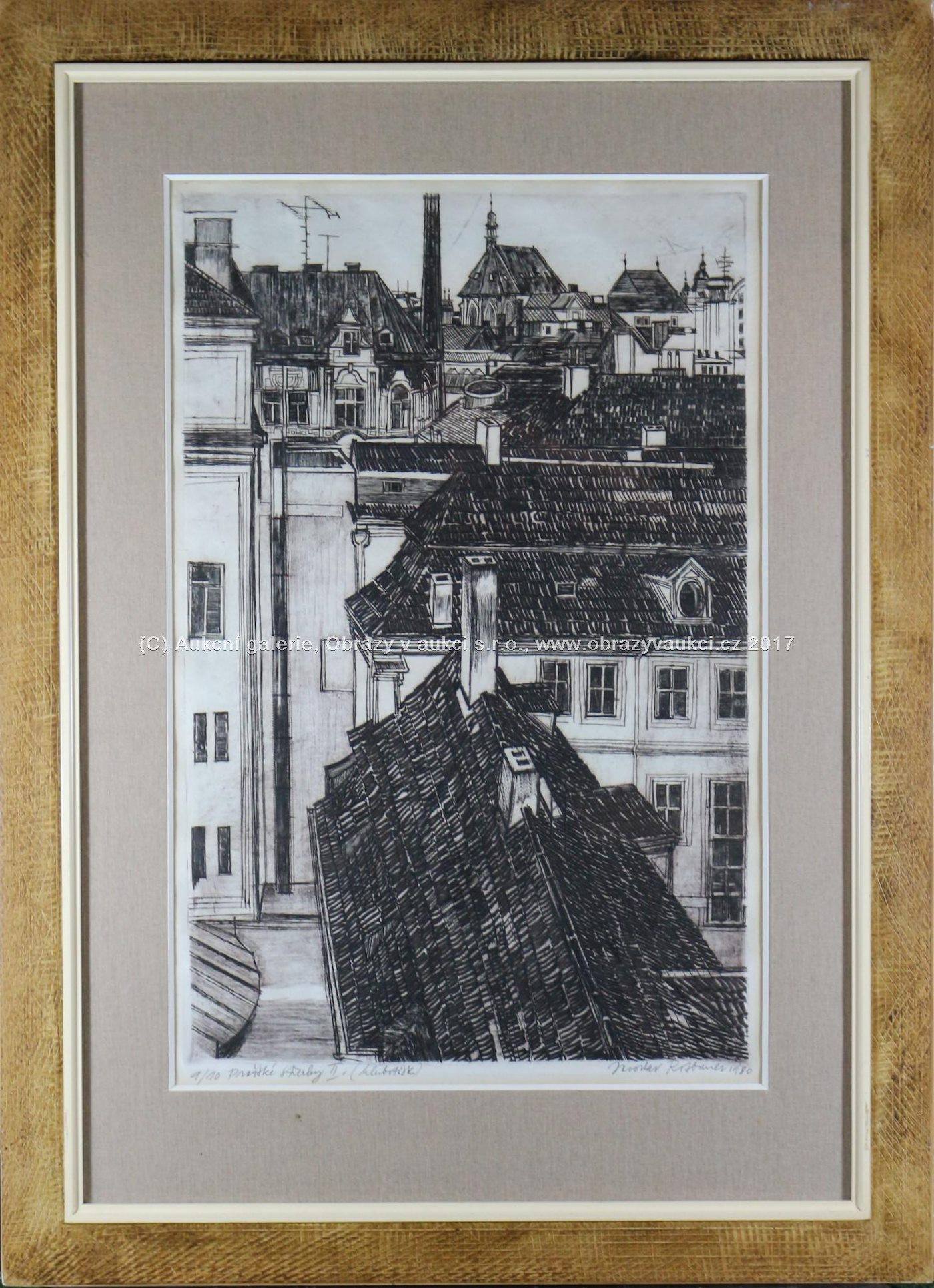 Jaroslav Rotbauer - Pražské střechy II