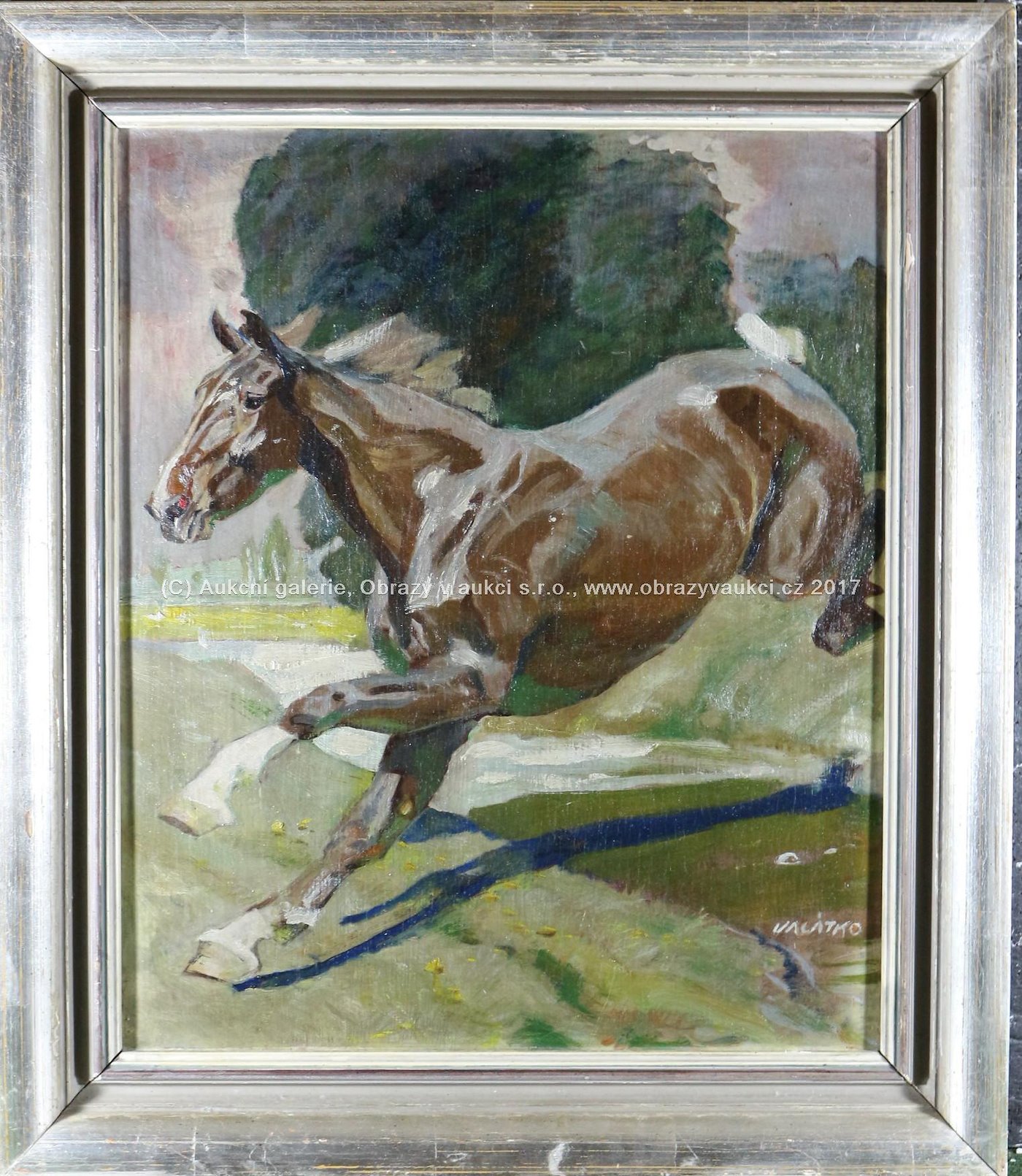 Ludvík Vacátko - Kůň v trysku