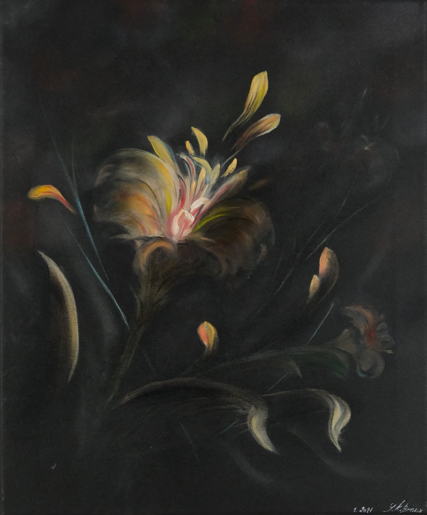Yvette Branz - Stíny květu