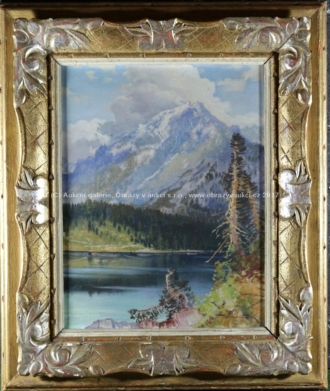 Josef Jiří Kamenický - Jezero v horách