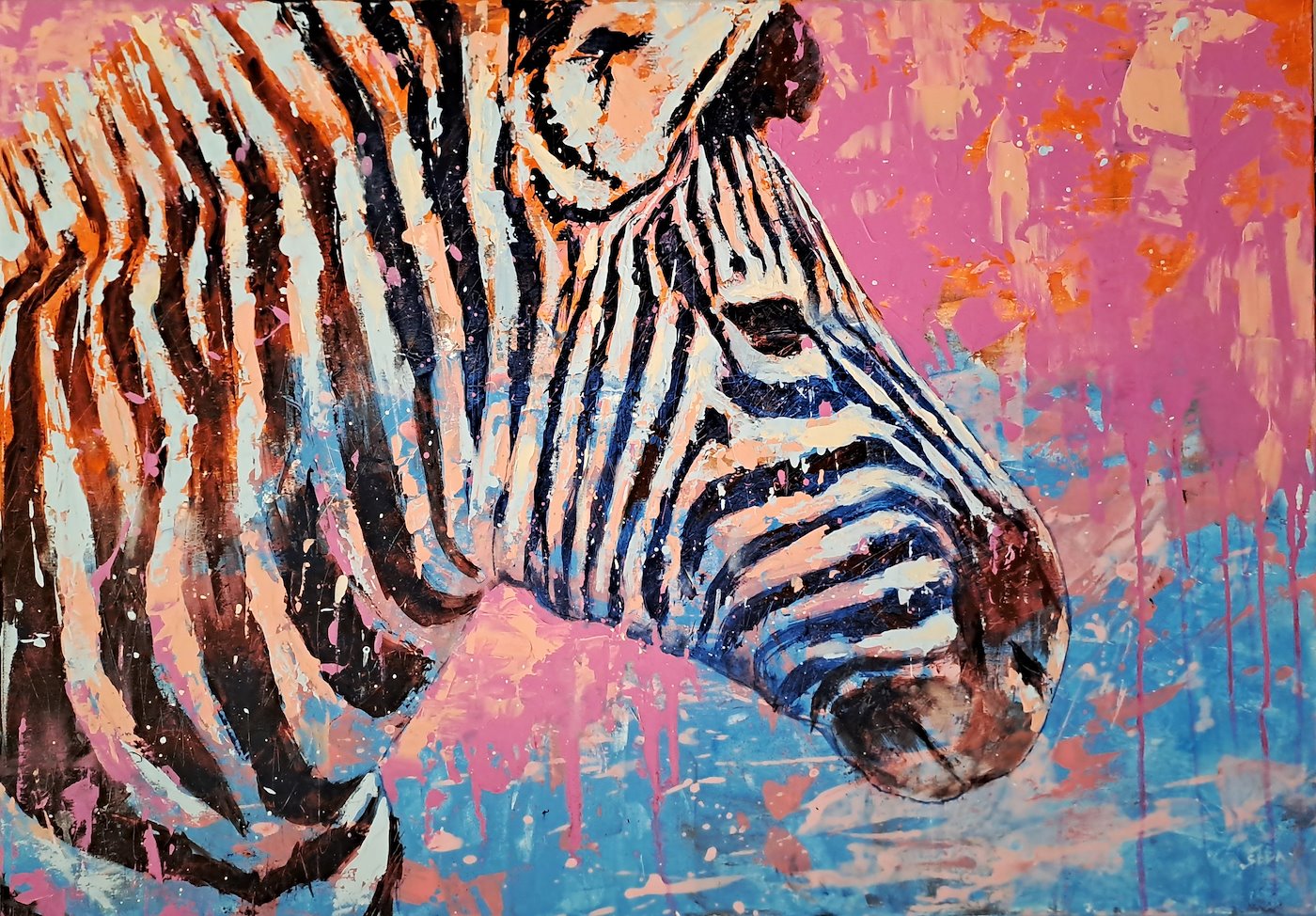 Petr Šeda - Zebra II.