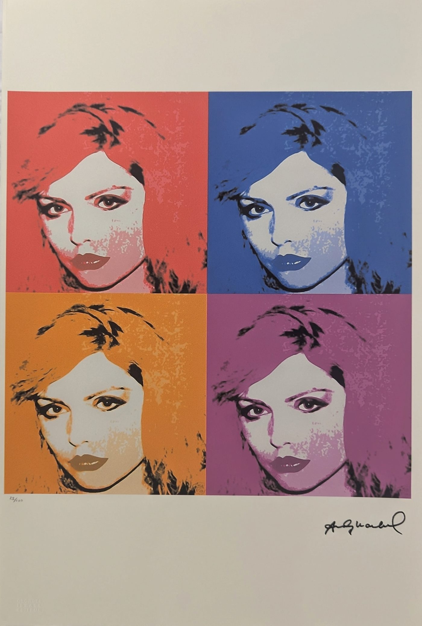 Andy Warhol - Debie