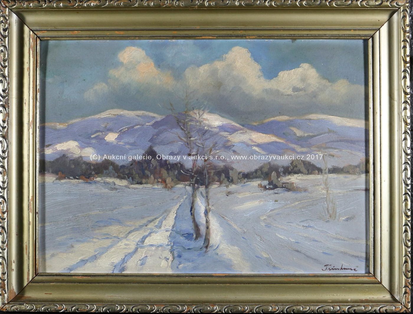 Jaroslav Trinkmoc - Zimní krajina