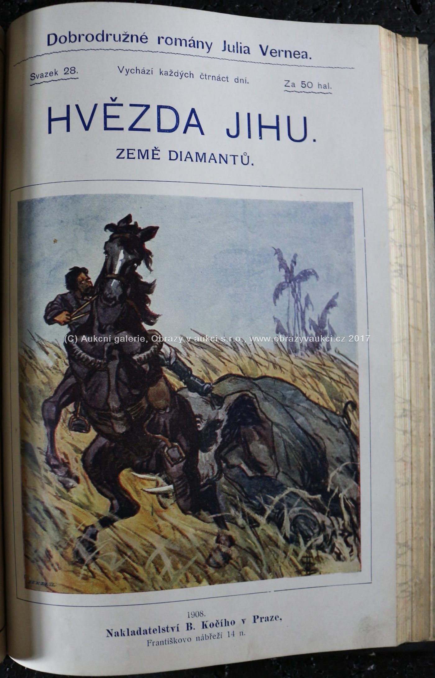 Jules Verne - César Cascabel, Hvězda Jihu, Los číslo 9672