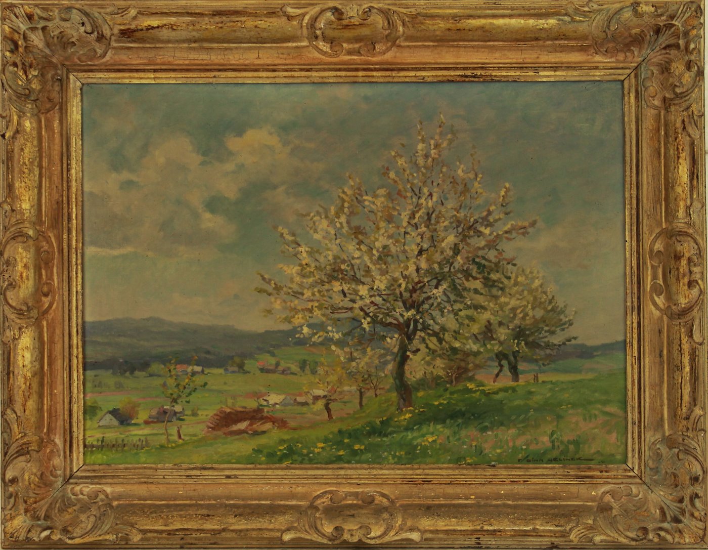 František  Cína - Jelínek - Kvetoucí jabloň