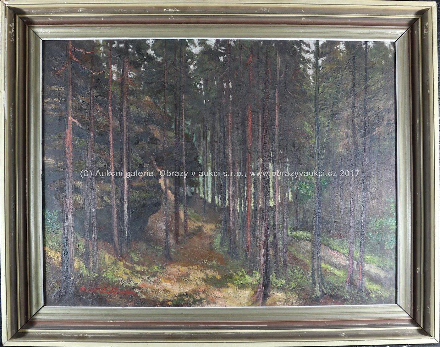 Bedřich Knopp - Skála v lese