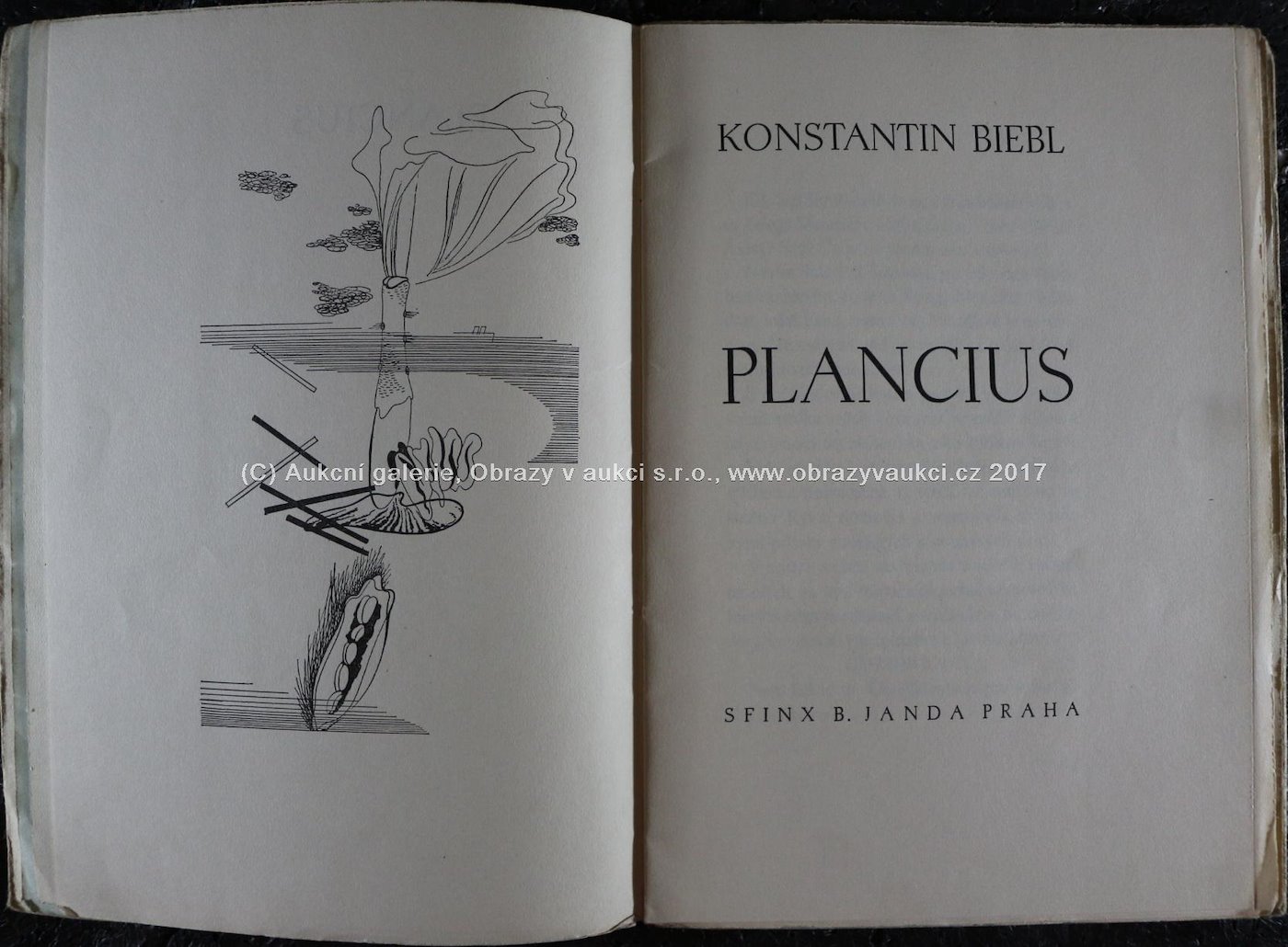 Jindřich Štyrský - Plancius