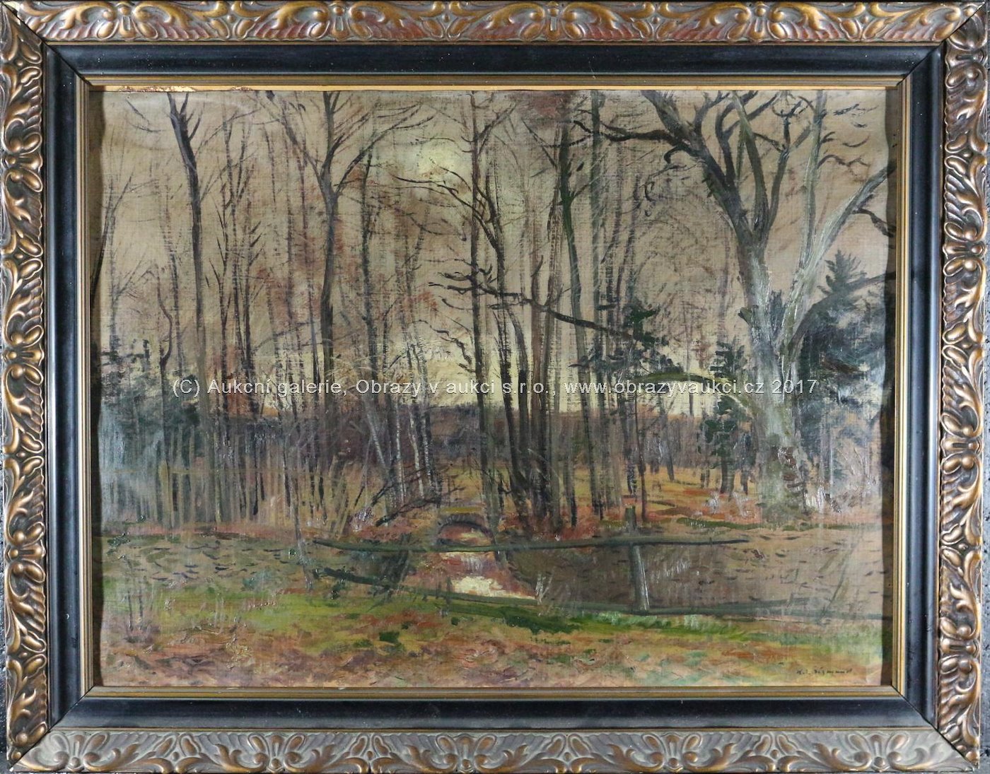 Karel Jan Sigmund - V lese