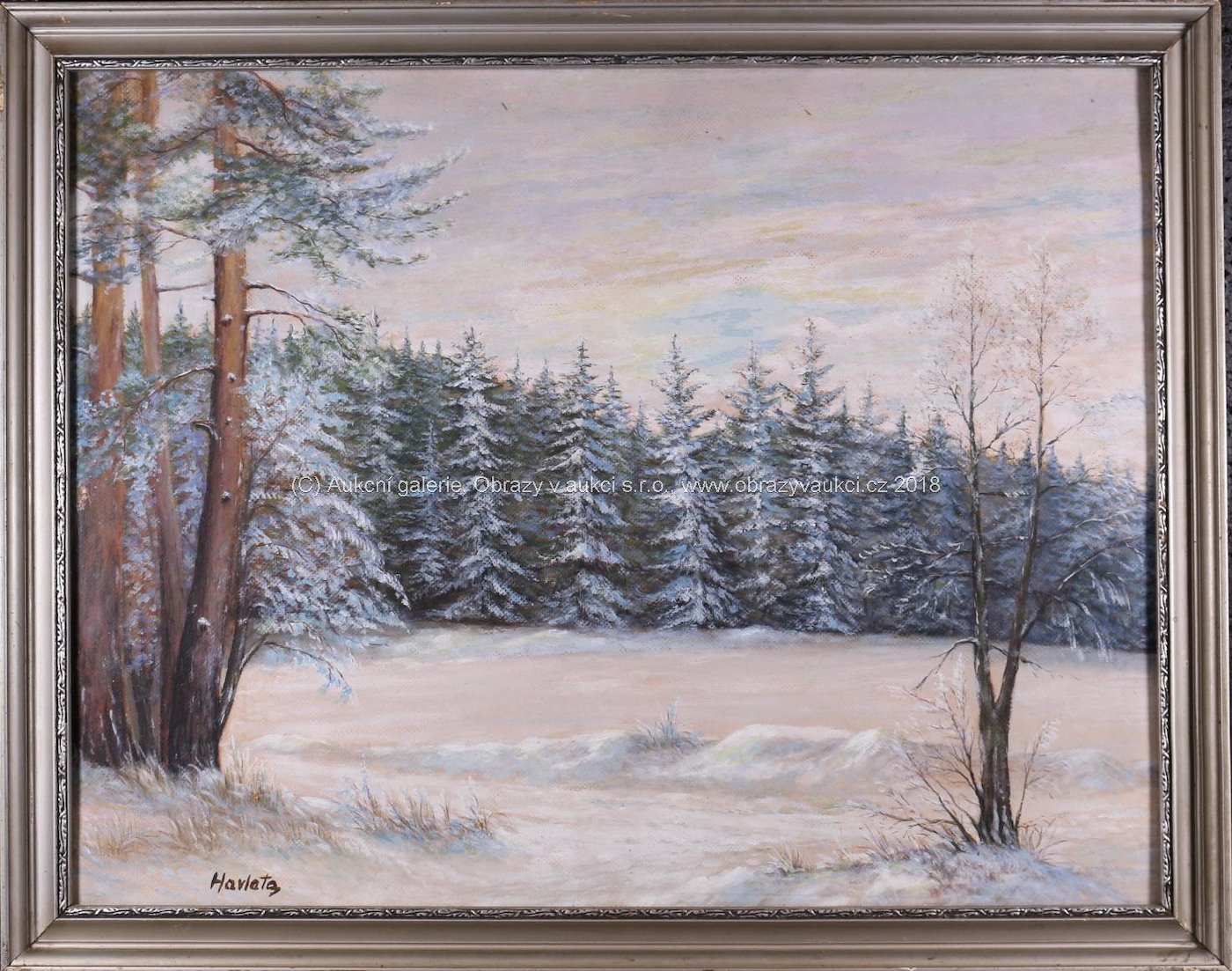 Karel Havlata - Zimní les