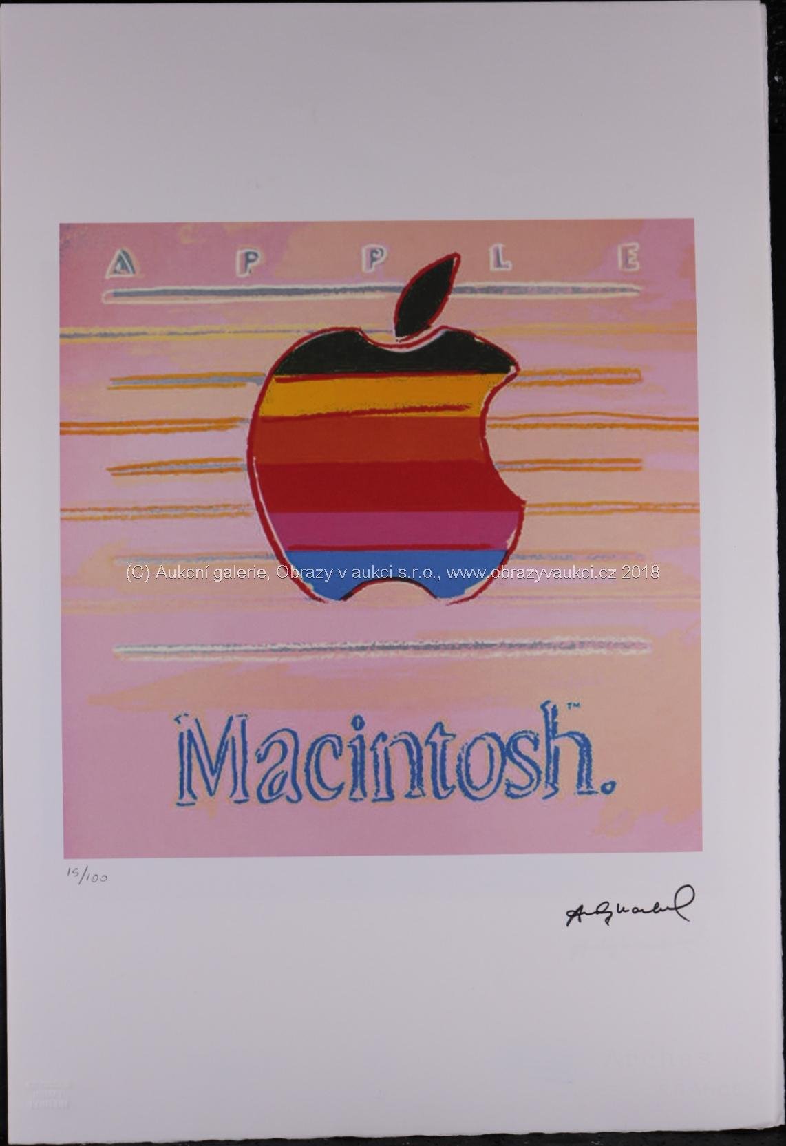 Andy Warhol - Apple - Macintosh