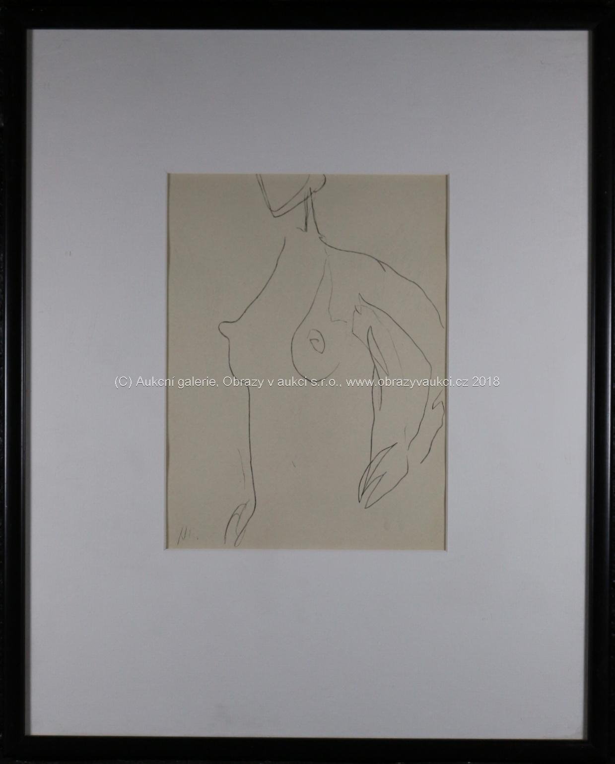 Henri Matisse - Nude - Le Perruche et le siréne