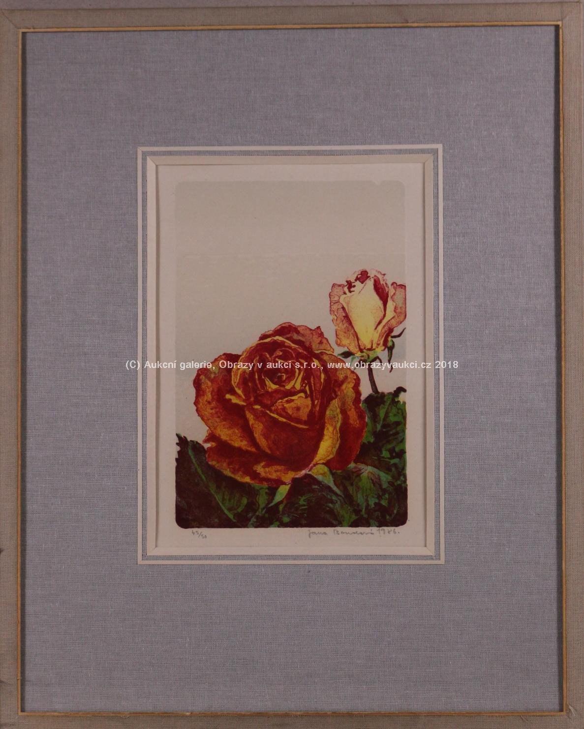 Jana Boudová - Rozkvetlé růže