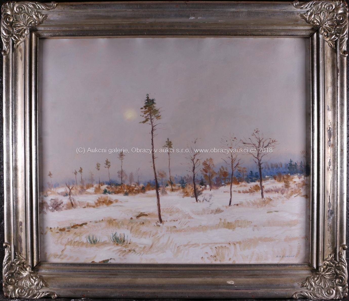 Karel Jan Sigmund - Zimní odpoledne
